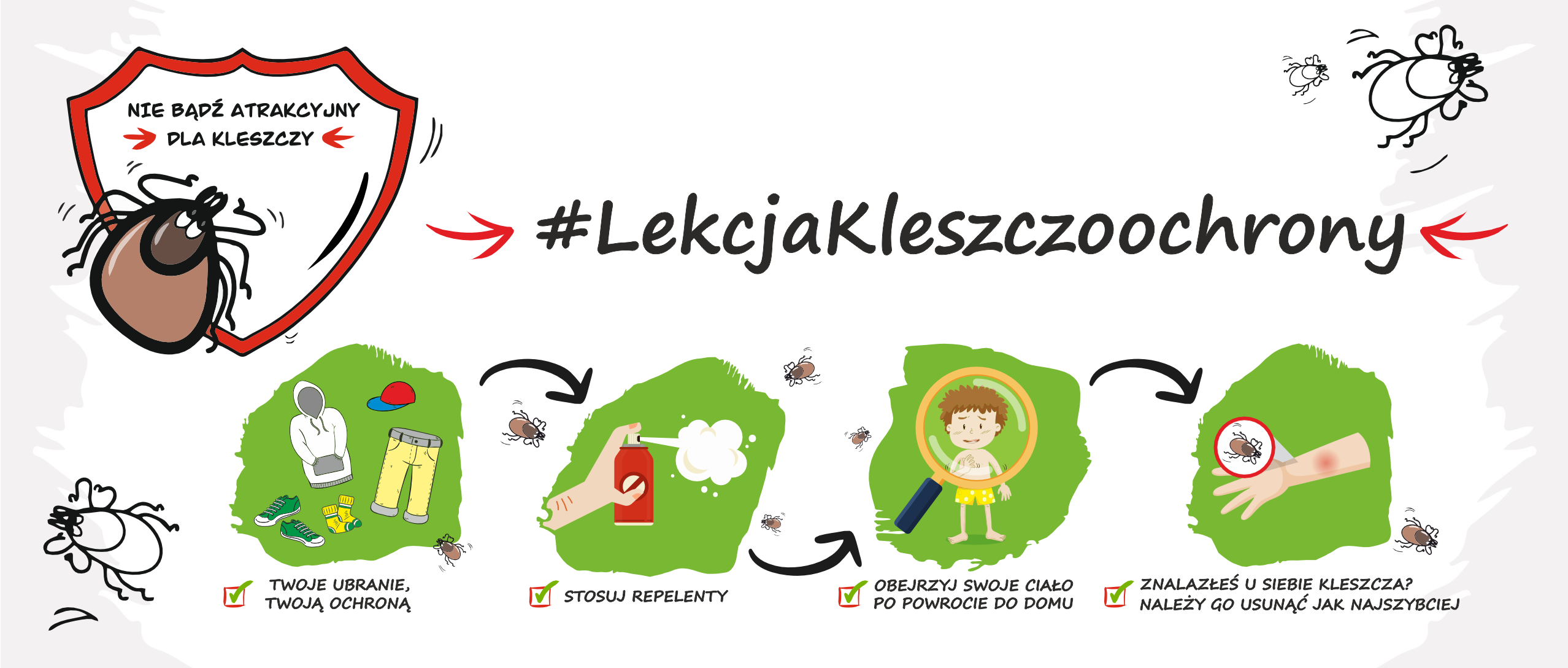 http://www.sp8.sosnowiec.pl/images/0000/galeria24-25/Kleszcze-2.png